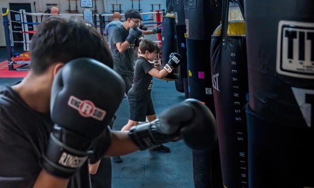 What to expect media