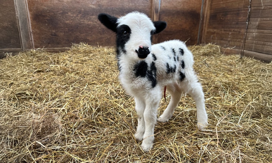 Image 15: Tiergarten Kleve – Ticket für 2 Erwachsene / 1 Kind, gültig bis 09.10.