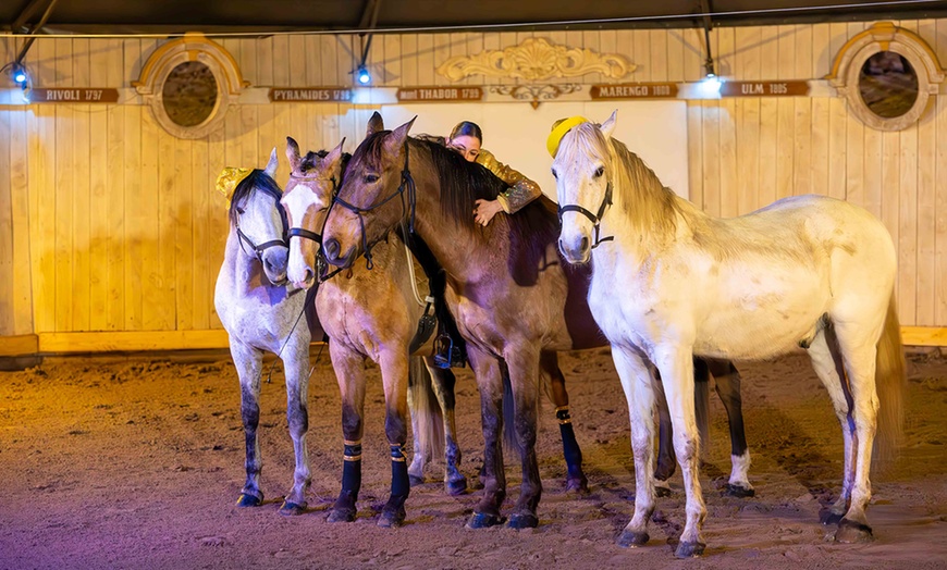 Image 9: Spectacle équestre en Provence : chevaux, lumière et gastronomie