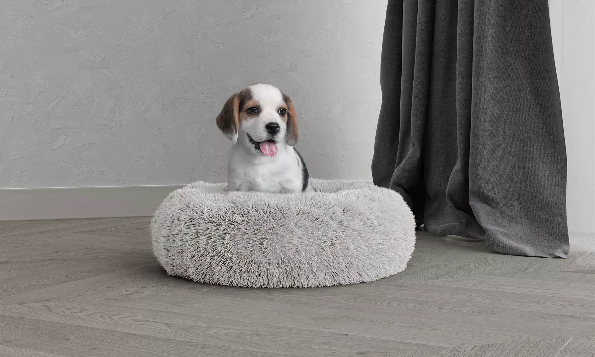 Rundes Haustierbett „DREAMS“ mit erhöhtem Rand