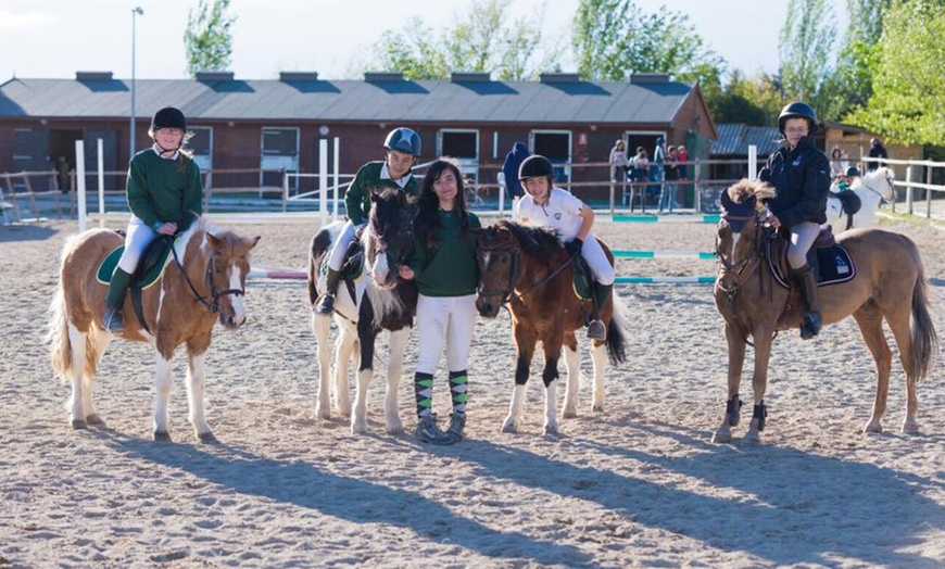 Image 3: ¡Una actividad única! Paseo en poni de 30 minutos para hasta 6 niños