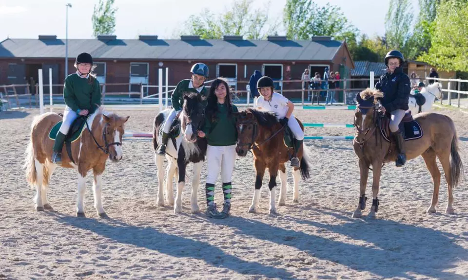 ¡Una actividad única! Paseo en poni de 30 minutos para hasta 6 niños