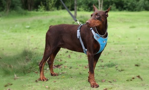 Dog Chest Harness Control No Pull Reflective Pet Vest for Medium Large Dogs