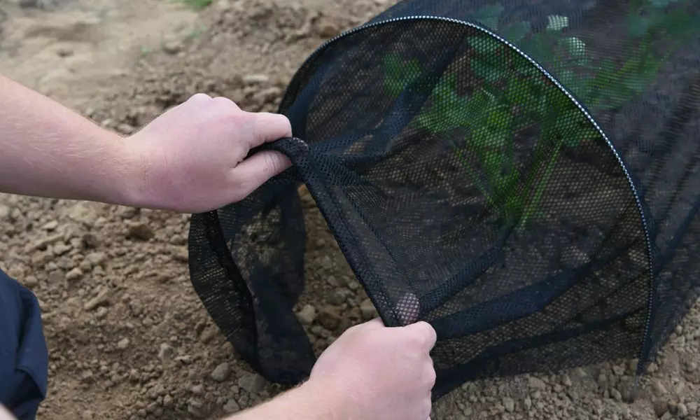Garden Greenhouse Polytunnel Cloche and Protection Structure Range