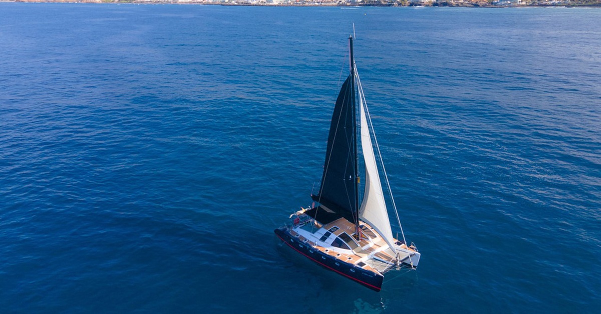 Avistamiento de ballenas y delfines en catamarán en Tenerife
