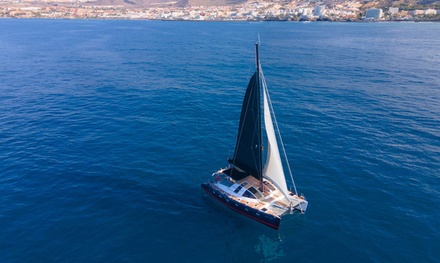 Para 1 adulto: avistamiento de ballenas y delfines en chill out catamarán de 3 horas con catering y bebida - White Tenerife