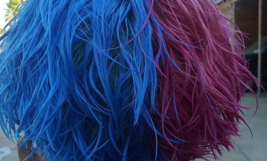 Image 14: Transform Your Hair with Single Color with Haircut and Style