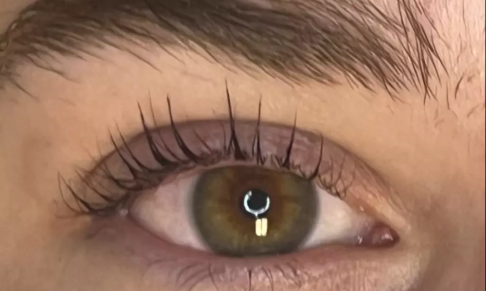 Transform Your Look w/ Eyelash Lift Treatment w/ Optional Lash Tinting