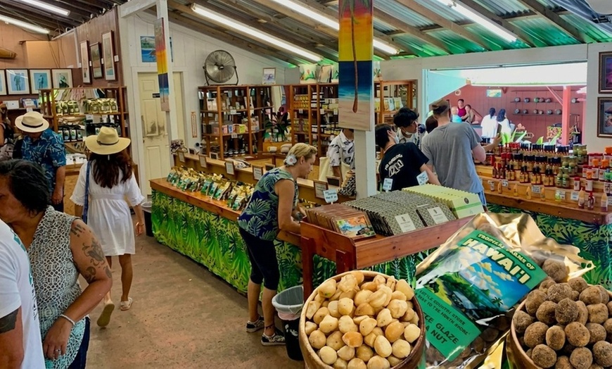 Image 19: Up to 65% Off Oahu Full-Day Island Tour - Aloha Fantasy Tours