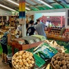 Image 19: Up to 65% Off Oahu Full-Day Island Tour - Aloha Fantasy Tours