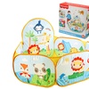 Image 4: Fisher Price Kids' Portable Sports Ball Pit 