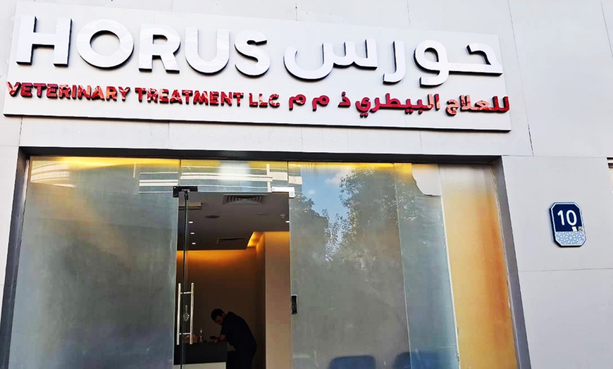 Image 3: Explore Vaccine and Grooming Packages for Your Pet