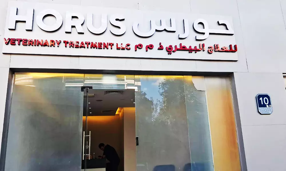 Explore Vaccine and Grooming Packages for Your Pet