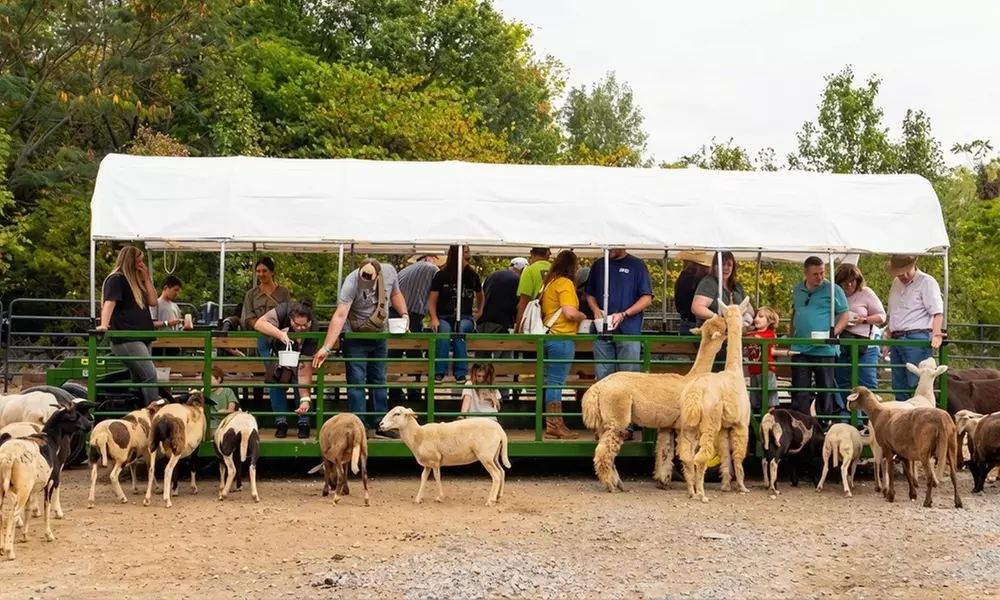Safari Hayride with Animal Encounters and Family Friendly Wagon Ride