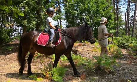 Passeggiata a cavallo da 60 minuti o pony con istruttore al maneggio La Ratatouille (sconto fino a 40%)