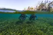 Dive Deeper with Scuba Certification Bundle For Up to Four People  (Up to 64% Off) at Depths Unlimited - Second Medium