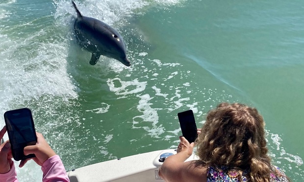 What to expect media