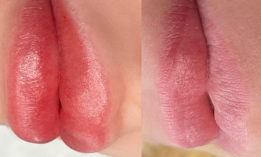 Image 6: Perfect Lips: Semi-Permanent Blush, Lip Liner & Dark Lip Correction