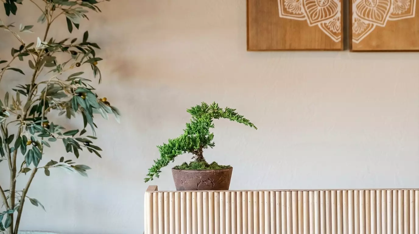 One Month Unlimited of Yoga Classes or 5 Yoga Classes