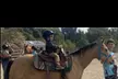 Horse riding and animal time at a private ranch. Family Experience, Mommy & Me, or Ranch Camp. All ages. Valid Mon-Fri - Second Medium