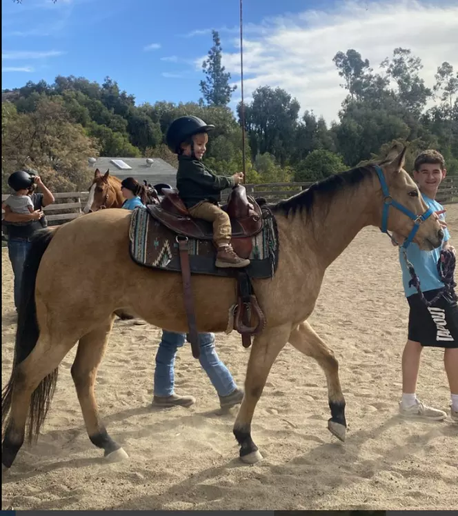Mommy or Daddy & Me /Animal Petting Experience w/ Optional Horse Party