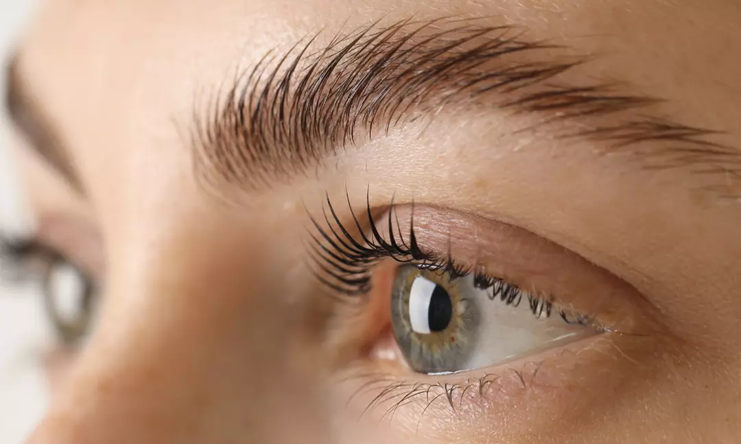 Wimpern-Lifting inkl. Farbe für 1 Person: Für perfekt definierte Wimpern ohne täglichen Aufwand (43% sparen) - Primary Image