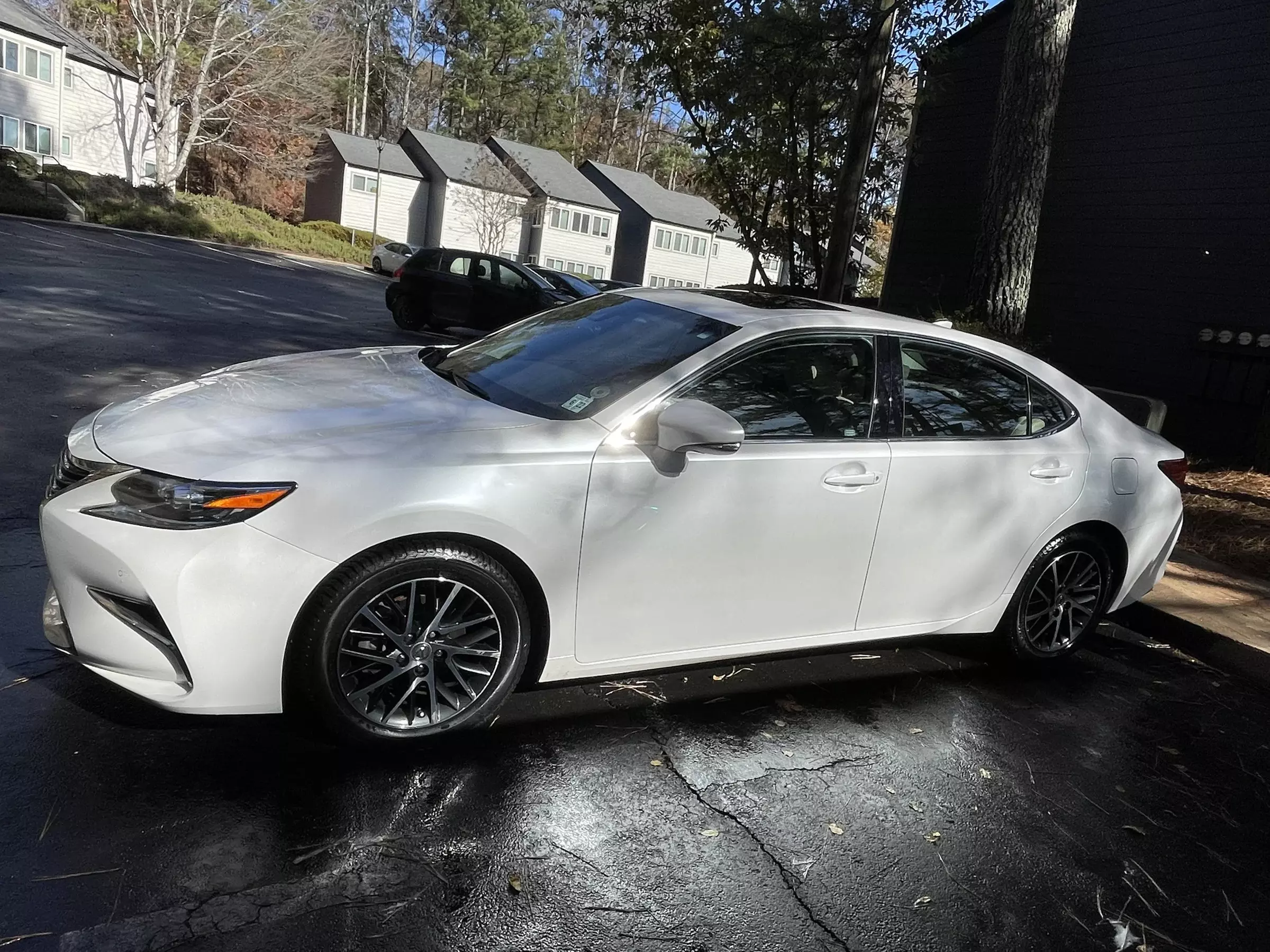 Choose From Bronze to Platinum Car Detailing Options