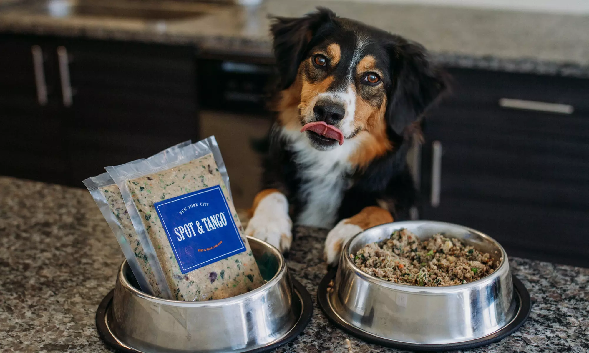 Claim 60% Off a Two-Week Trial of Spot & Tango Dog Food For Free (Up to a $139.94 Value) - Primary Image