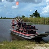 Image 4: Airboat Tours in the Loxahatchee Everglades