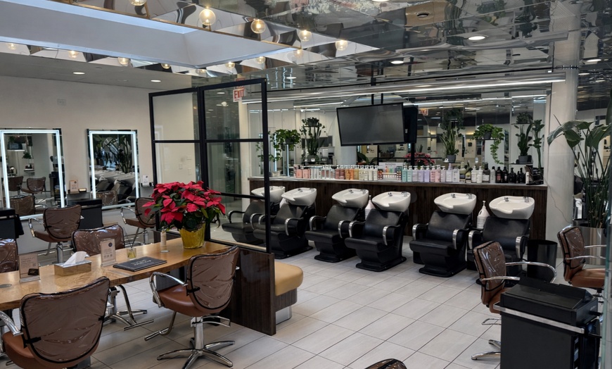 Image 6: Balayage Brazilian Blowout and More at Charles Ifergan Salon Oakbrook