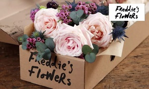 50% Off Flower Boxes