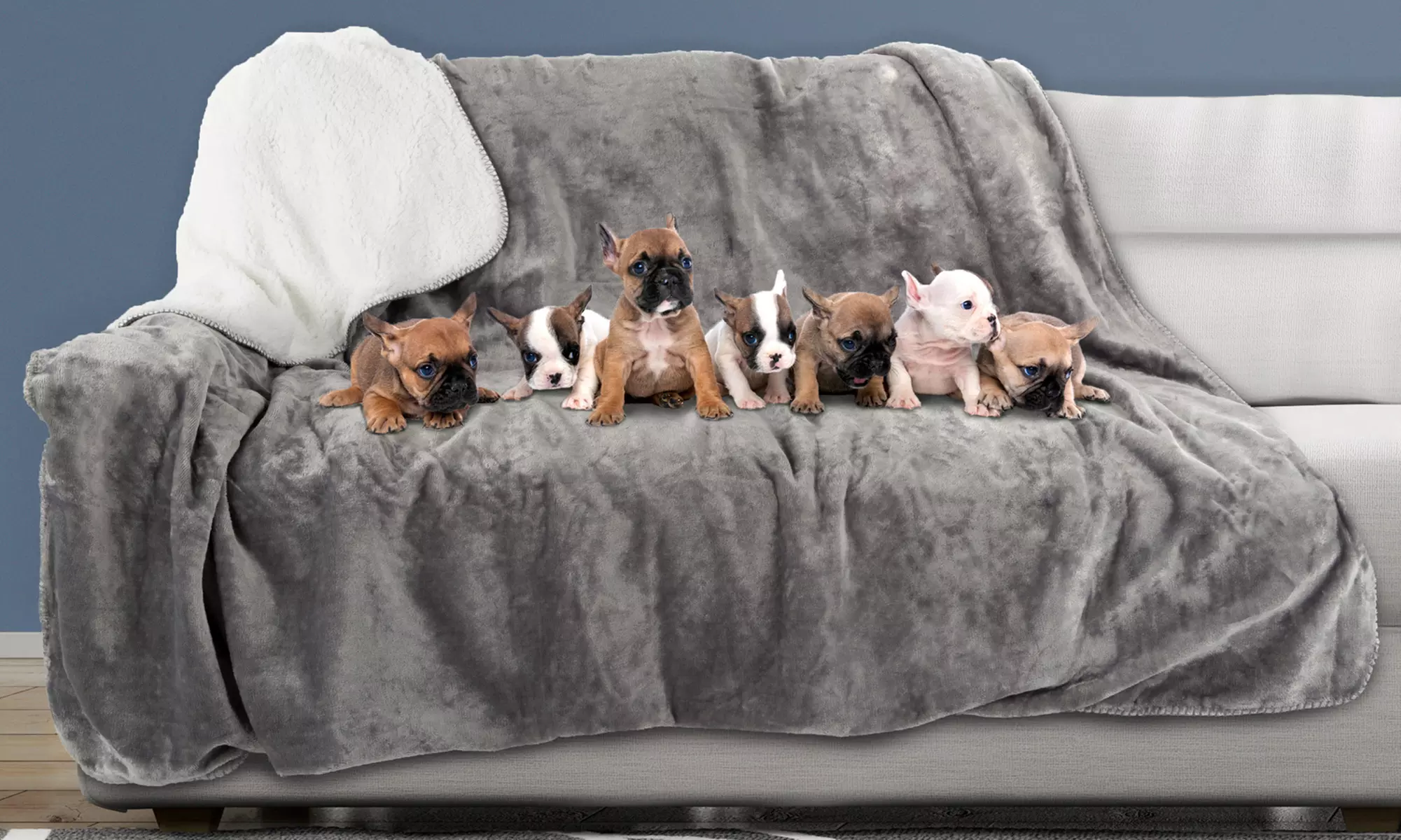 Waterproof Pet Blanket XL Throw Protects Couch Car Bed 70 x 60 Tan