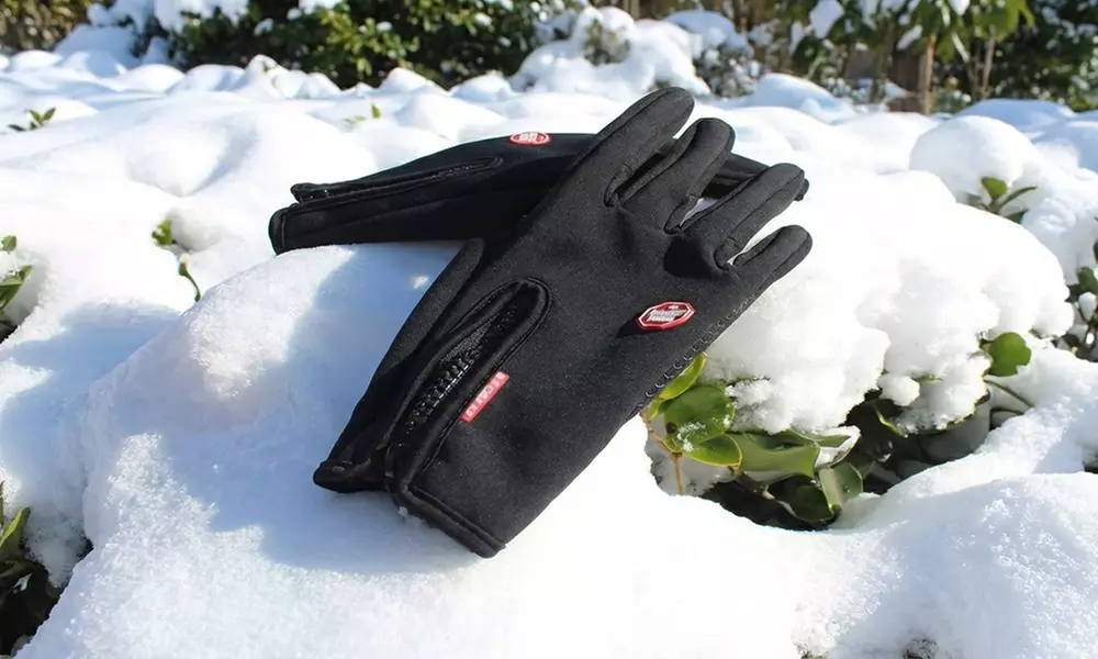 Softshell Gloves