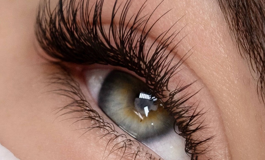 Image 1: A Choice of Classic Lashes or Lash Lift Or Brow Lamination