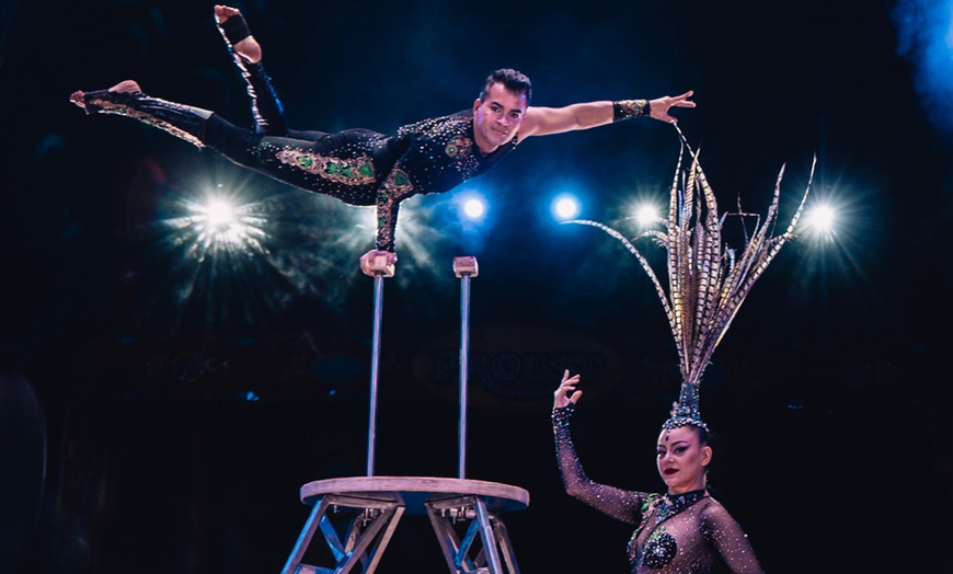 Image 2: Sitzplatz-Ticket für den Gelsenkirchener Weihnachtscircus