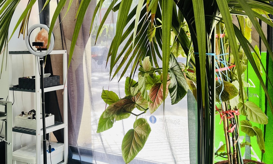 Image 6: Tratamiento facial Dermapen con cóctel rejuvenecedor y extras 