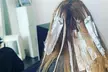 Experience Style with Haircut, Conditioning & Blow-Dry Color, Highlights, Ombre or Balayage (Up to 50% Off) - Second Medium