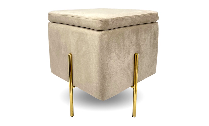 Image 12: Lapo puf contenedor de terciopelo 