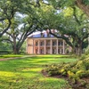 Image 1: Up to 21% Off Historic New Orleans Plantation Tours