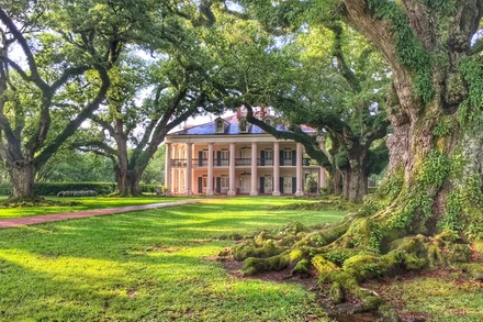 Oak Alley Plantation Tour - For 1 Guest - Gray Line Tours NOLA - New Orleans, LA