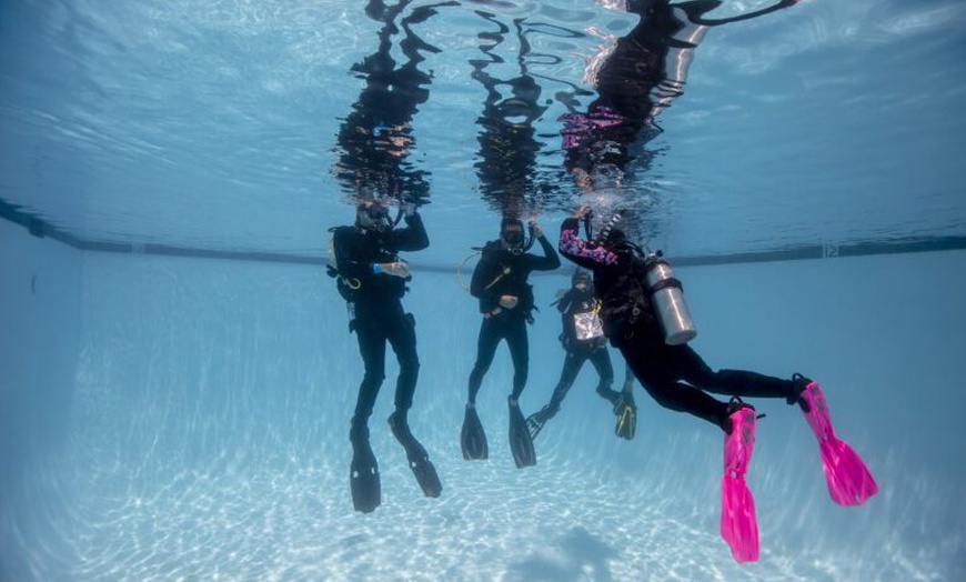 Image 2: Intro- of opfrisduik met PADI Elite-instructeurs bij Divearound