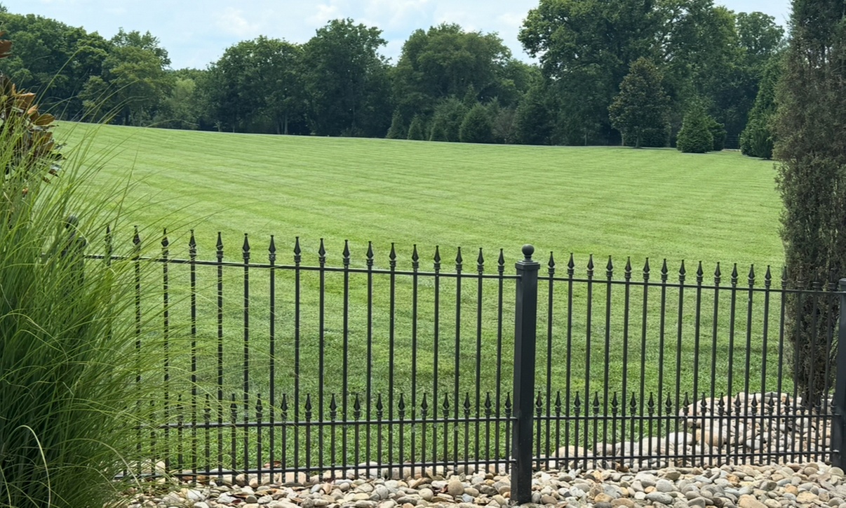 Landscape Design Residential or Commercial or 8 Man Hours of Cleanup