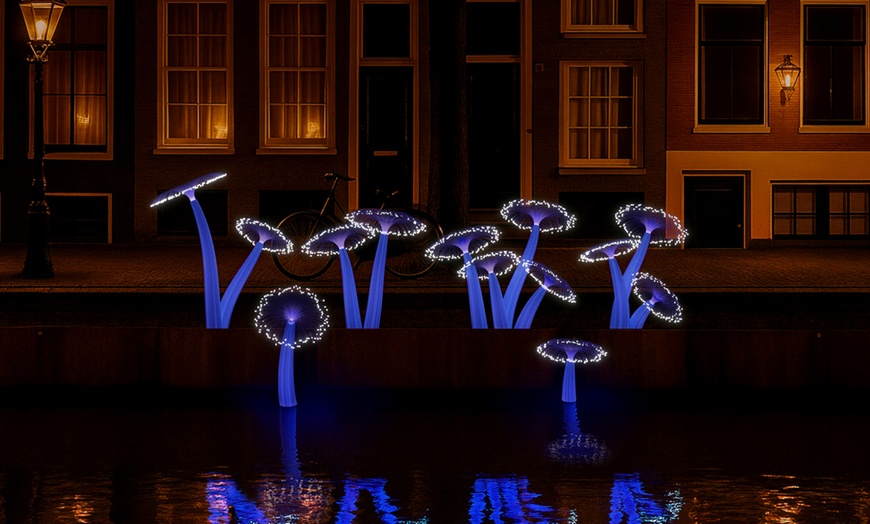 Image 2: Beleef het Amsterdam Light Festival: rondvaart door de grachten