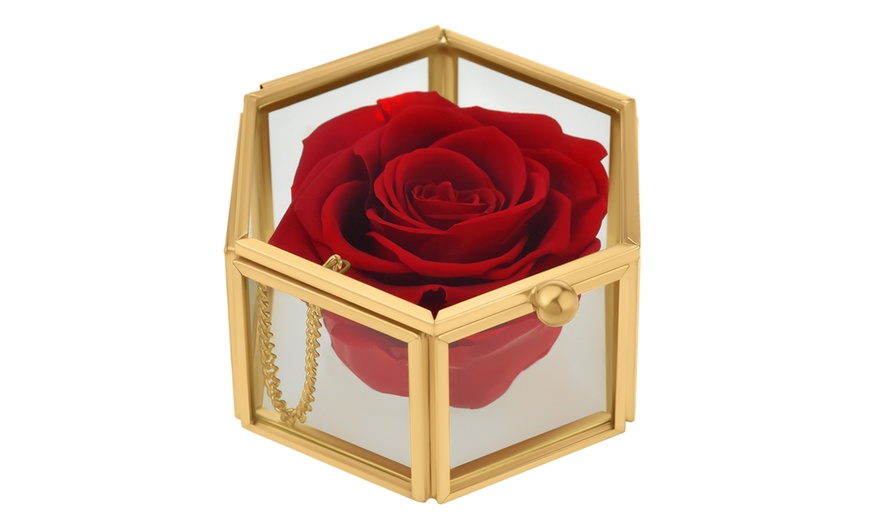 Image 5: Rosa eterna