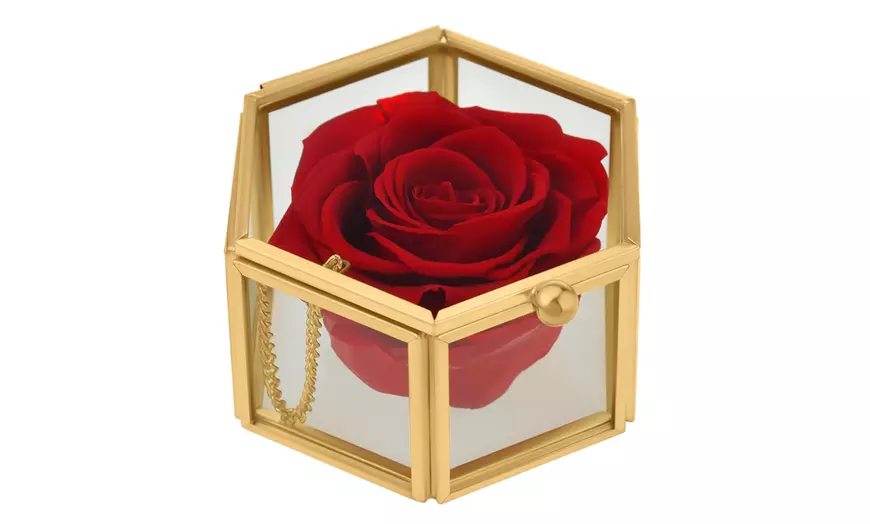 Image 5: Rosa eterna
