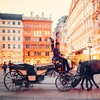 Image 8: ✈ 8-Day Prague, Vienna & Budapest Vacation with Air