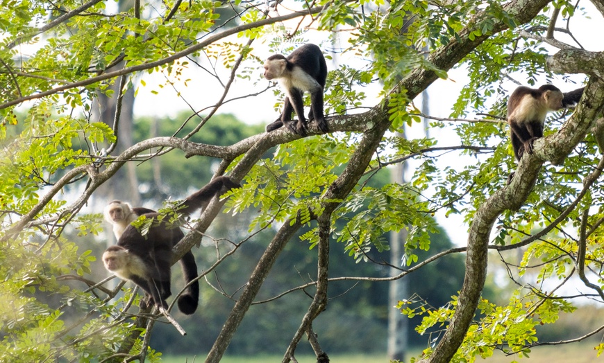 Image 14: ✈6-Night Costa Rica Volcano & Beach Trip w/Air, Car from Travel by Jen