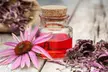 Formation certifiante en naturopathie avec Meformer (84% de réduction) - Second Medium