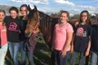 Embark on a One or Two-Day Summer Horseback Evening Mini Camp at Oak Haven Performance Horses (Up to 45% Off) - Second Medium
