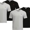 Image 6: 2er- oder 4er-Pack US Polo ASSN. T-Shirt für Herren